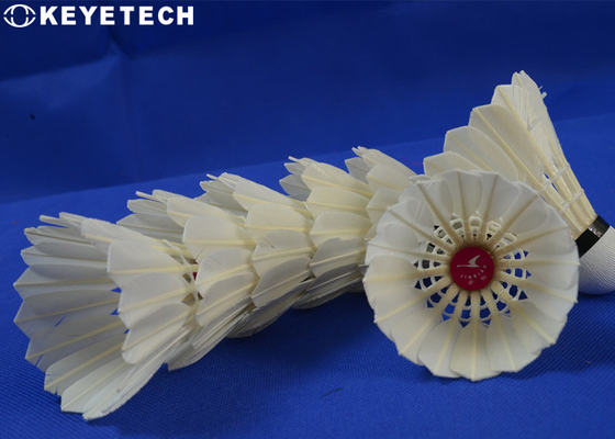 Productos automatizados de Aoi Vision System Machine For hechos de plumas