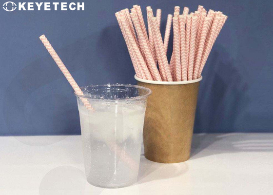Sistemas de inspección automatizados de Vision para las pajas de beber de papel