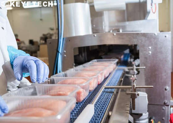Equipo de empaquetado de la inspección para los envases de comida disponibles plásticos de los PP