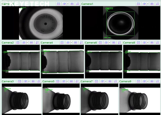 Vision en The Field de la máquina de empaquetado de la inspección con inteligencia artificial