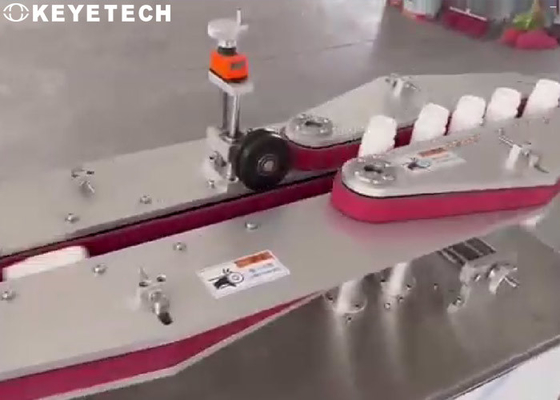Máquina off-line de la inspección visual de la botella con el sistema auto del rechazo y de la cuenta