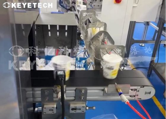 Soluciones llave en mano Robot de entrada IML con sistema de inspección de visión totalmente automatizado