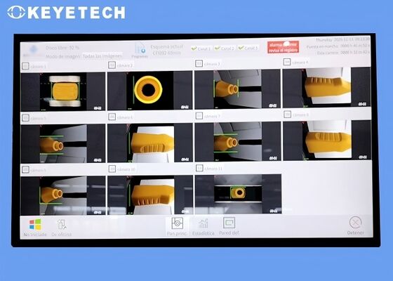 Equipo de empaquetado de la inspección para los envases de comida disponibles plásticos de los PP