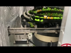 Máquina de clasificación de la tapa del boquilla de cuello corto